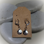 Silver charm earrings